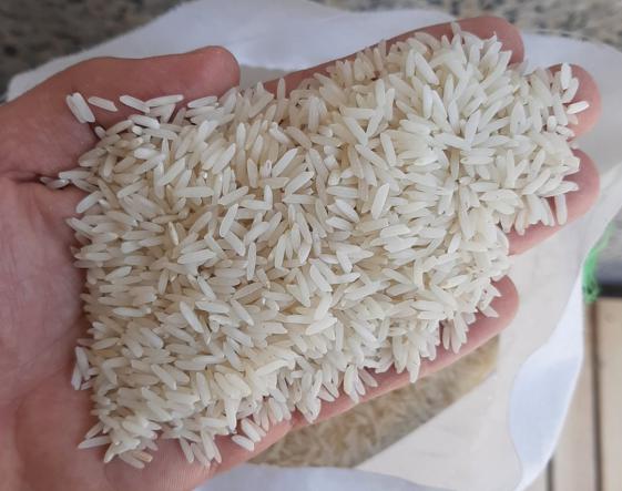 بررسی عوامل موثر بر کیفیت برنج