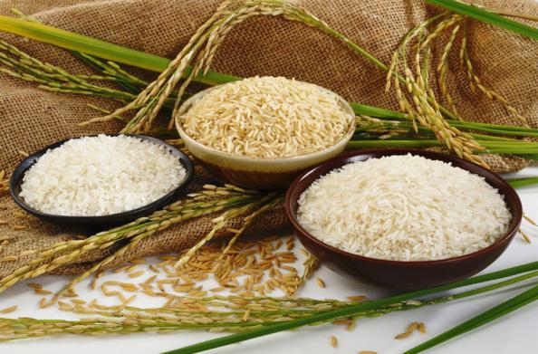 همه چیز در مورد برنج