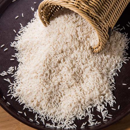 عرضه مستقیم برنج طارم درجه یک شمال